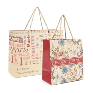 Custom-Printed Foldable Eco-Friendly Paper Shopping Bag for Grocery, Gifts, and Jewelry Packaging