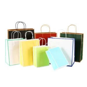 Custom Printed Gift Paper Bag with Business Logo