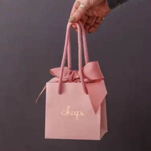 Custom Printed Jewelry Shopping Gift Bag with Logo