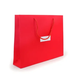 Custom Printed Kraft Paper Shopping Bags with Handles, Eco Friendly Retail