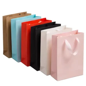 Custom Printed Paper Bag with Ribbon Handle, Shopping Gift Bag with Custom Logo