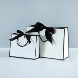 Custom Printed Paper Gift Bags with Ribbon Handles for Clothing, Shoes, and Underwear