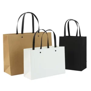 Custom Printed Paper Gift Shopping Bag for Clothing and Small Business