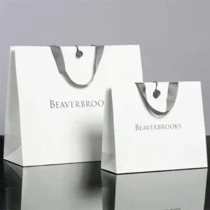 Custom Printed Paper Jewelry Gift Shopping Bag with Ribbon Closure