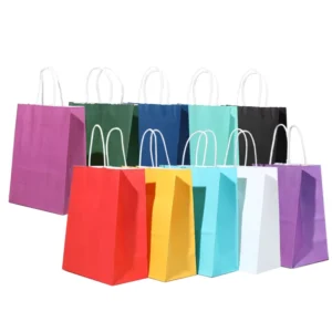 Custom Printed Recyclable Kraft Paper Shopping, Clothing, Gift, and Food Takeaway Bags
