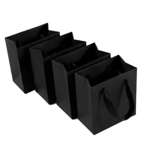 Custom Printed Recyclable Paper Shopping Gift Bag with Handles for Retail