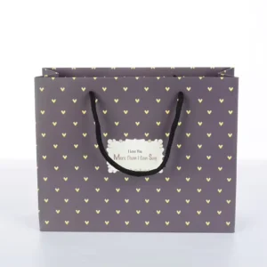 Custom Printed Recycled Kraft Paper Gift Shopping Bag