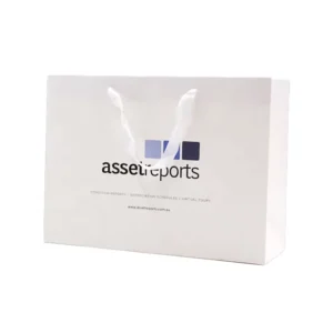 Custom Printed Shopping Gift Paper Bag with Handle