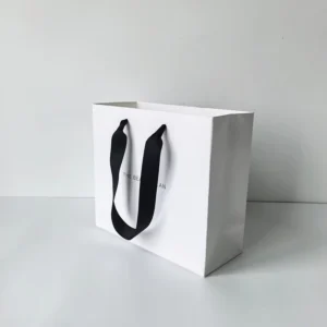 Custom Printed White Gift Paper Bags for Retail Shopping and Business