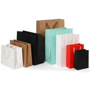 Custom Printed White Kraft Paper Gift Bag with Ribbon Handle for Shopping