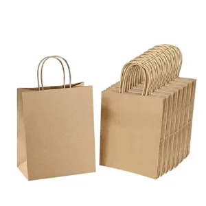 Custom Printed White and Brown Kraft Paper Shopping Bag with Twisted Handle