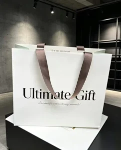 Custom Recyclable Biodegradable Paper Gift Bags with Logo Stamping and White Ribbon Handles for Clothes and Cosmetics