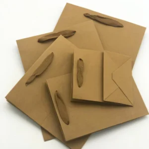 Custom Recyclable Flexo-Printed Christmas-Style Kraft Paper Gift Bags with Round Rope Handles