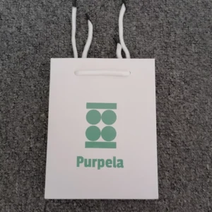 Custom Recycled Cardboard Paper Shopping Gift Bags with Handles, Printed Color Logo