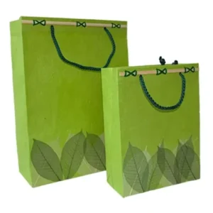 Custom Recycled Logo Printed Paperboard Gift Packaging Bag