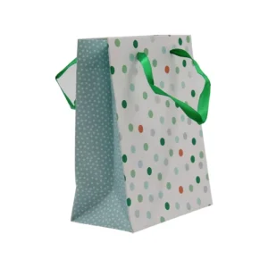 Custom Retail Clothing Gifts Bag Packaging Promotional Paper Bags