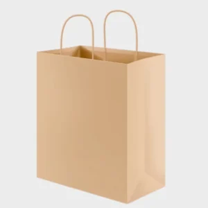 Custom White Kraft Paper Gift Bag with Handles for Clothing Packaging