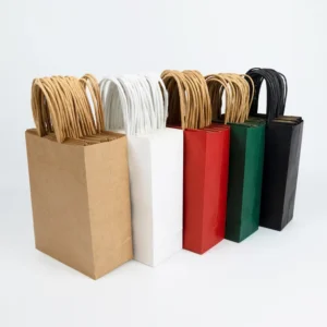 Custom White and Brown Kraft Paper Food Bag with Twisted Handles and Logo