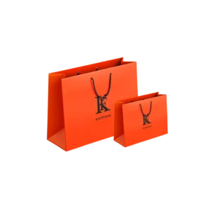 Customizable Logo Clothing Packaging Bags for Online Stores