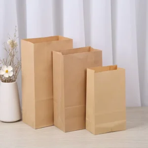 Customized Brown Kraft Paper Takeaway Food Bag, Recyclable, Digital Offset Printing, Custom Logo