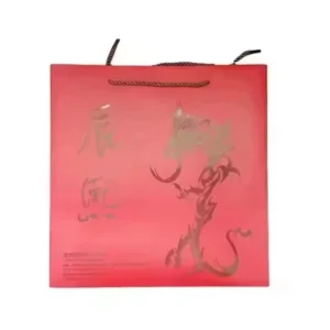 Customized Cardboard Paper Shopping Gift Bag with Handle