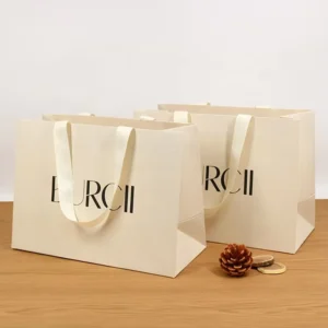 Customized Printed Clothing Gift Cardboard Paper Bags with Ribbon Handles
