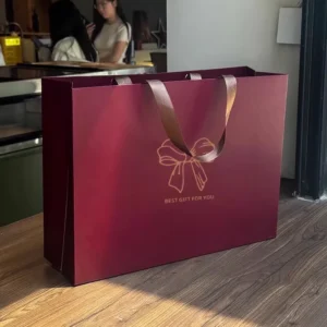 Customized Printed Paper Gift Shopping Bag with Logo for Clothing