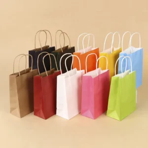 Customized Recyclable Kraft Paper Shopping Bag with Twisted Handle for Shoes and Clothing, Flexo Printed