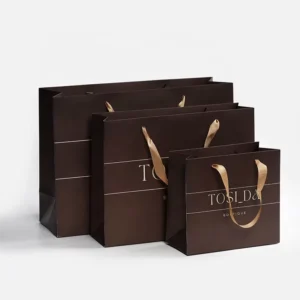 Customized Recycled Paper Gift Bag with Ribbon Handle for Clothing Shops