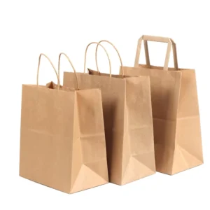 Customized Sizes Craft Food Shopping Grocery Carry Retail Paper Bag with Handle
