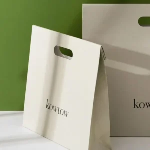 Degradable Custom Logo Gift Packaging Paper Bag