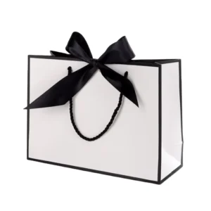 Eco-Friendly Art Paper Biscuit Gift Bag Set with Ribbon Handle