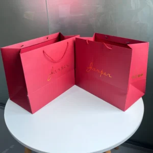 Eco-Friendly Custom Printed Cardboard Gift Bags, Wine Red, Ribbon Handle, Reusable