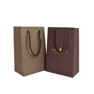 Eco-Friendly Foldable Paper Carrier Bags with Handles and Logo