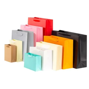 Gift Paper Bag Paper Shopping Bag Custom Logo Paper Gift Bags with Handle