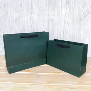 In-Stock Green Paper Shopping Bag with Handles for Cosmetics