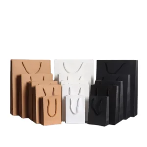 Kraft Paper Bag Making Machine Manufacturer