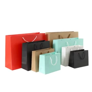 Kraft Paper Bag with Twisted Handles for Gifts, Retail, Catering, and Food, Digital Printing, Recyclable and Degradable