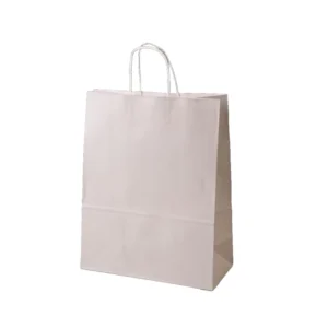 Kraft Paper Carry Bag with Custom Logo and Twisted Handles for Trade Shows, Conferences, and Visitor Giveaways