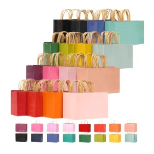 Large Kraft Paper Gift Bags with Handles, 16 Colors