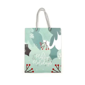 Light Green Cartoon Santa Christmas Paper Gift Bag with Handle for Xmas Gifts