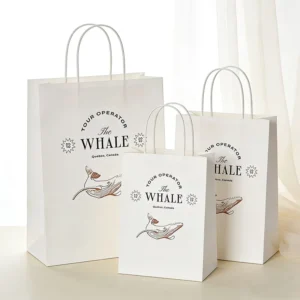 Logo Printed Reusable Kraft Paper Shopping Bags for Retail Stores, Various Sizes