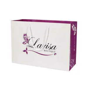 Luxury Colorful Medium Size Clothes Shopping Gift Paper Bag with Logo Printing