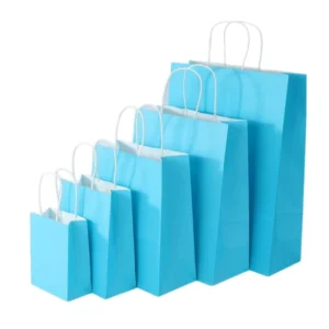 Luxury Custom Size Packaging Paper Handle Paper Bag Kraft Paper Gift Shopping Bag