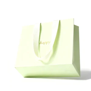 Matte Paper Gift Bag Light Mint with Gold Stamped Letter and Wide Fabric Handle for Apparel