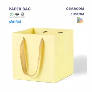 Modern Eco-Friendly Gift Paper Bags for Retail Packaging