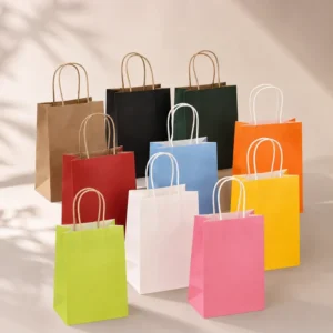 OEM White and Brown Kraft Twist Handle Paper Shopping Bag for Restaurant Takeout and Delivery Manufacturer Supplier