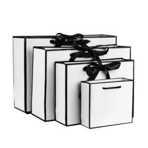 Paper Bags with Custom Logo for Clothing, Shopping, Gift, and Jewelry Packaging
