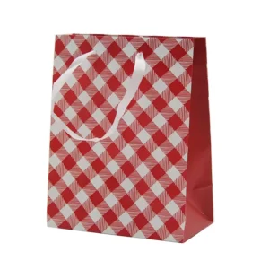 Paper Gift Bag with Ribbon Handle for Weddings and Special Occasions