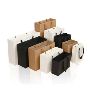 Paper Gift Bags With Ribbon Handles for Boutique Shopping, Black or White